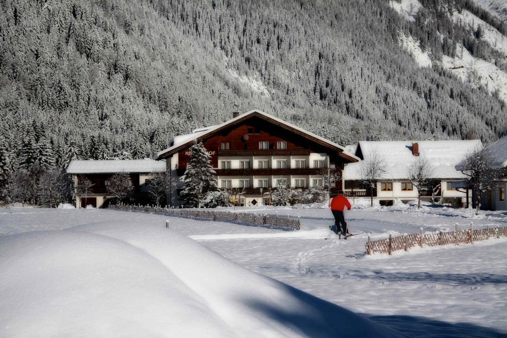 Pension Konigshof Мальниц Экстерьер фото